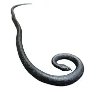 COTOSEY 53 Rubber Snake Realistic Fake Snakes Toy for FoolS Day Pranks Hallowe