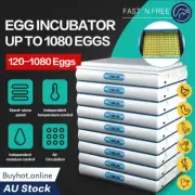 120 Eggs Digital Egg Incubator Fully Automatic LED Turning Chicken Duck Poultry
