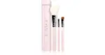 Sigma Beauty Essential brush set with case