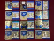 Panini World Cup Russia 2018 WC 18 Collection Packets 44 Different