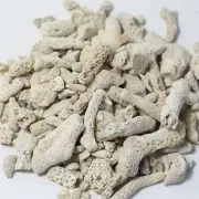100g Natural Coral Bone Fractions Media Aquarium Filter Biological Filtration