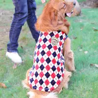 在飛比找Yahoo!奇摩拍賣優惠-廠家出貨新年狗狗衣服大型犬秋冬金毛拉布拉多薩摩耶薄款冬天保暖