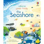 現貨USBORNE偷偷看一下海灘PEEP INSIDE THE SEASHORE