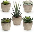 Artificial Succulent Plants Potted, Assorted Decorative Faux Succulent Potted Fa