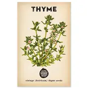 The Little Veggie Patch Co Heirloom Thyme Seeds