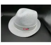My Coke Rewards NEW Diet Coke Fedora Hat