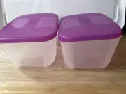 Tupperware Freezer Mates Plus Small Deeps 2 3/4cup/1.1L Set of 2