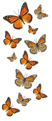 Monarch Butterfly Temporary Tattoos - 5 Sheets - 55 Butterflies