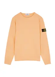 Stone Island Kids Logo Cotton Sweatshirt (14 Years) - Orange - 14YR (14 Years) 14YR (14 years)