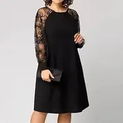 Women's Mini Dress Lace Dress Casual Dress Elegant Fashion Outdoor Holiday Date Regular Fit Plain Long Sleeve Crew Neck Black Spring Autumn