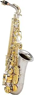 EB Alto Saxophone Brass E Flat Sax 802 Key Type Woodwind Instrument with Cleaning Rod Cloth Gloves Strap Padded Case Silver