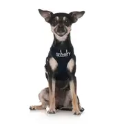 SECURITY - XS adjustable Vest Harness