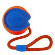 Chuckit Rope Fetch Dog Toy Ball On Rope Fetch And Tugofwar Toy For Dogs Durable