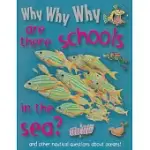 WHY WHY WHY ARE THERE SCHOOLS IN THE SEA?