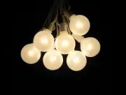 100 Foot Globe Patio String Lights - Set of 100 G50 Pearl White Bulbs with White
