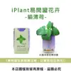iPlant易開罐花卉-貓薄荷 (8.5折)
