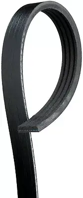 For 2000-2005 Toyota Echo 1.5L Serpentine Belt Gates 159RJ83 2001 2002 2003 2004 (for: Toyota)