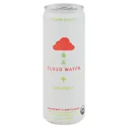 Cloud Water Immunity Water Sparkling Mint Grapefruit Basil 12 FO (Pack Of 12)