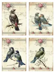 Vintage Image Pink Roses Bird Labels Furniture Transfer Waterslide Decals BIR854