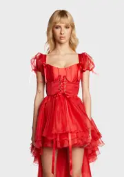 [Sugar Thrillz] Rose My Beloved Underbust Corset Top
