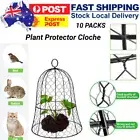Height Garden Chicken Wire Cloche Plant Cover Plant Protector 10PCS 13"x16" AU