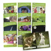 12 Decodable Readers Set 2 Phase 4 - Blends- Non Fiction Books - By Beanstalk Bo
