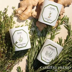 法國 Carrière Frères 迷迭香 Rosemary 185g 天然手工香氛蠟燭