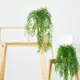 室內裝飾仿真植物盆景吊蘭天門冬松蘿鳳梨辦公室擺件 (6.6折)