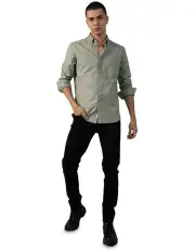 [American Eagle] Slim Fit Flex Oxford Button-Up Shirt in Green