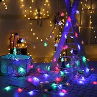 在飛比找松果購物優惠-五角星銅線燈 LED(6米長) 電池盒 燈串 聖誕燈 告白氣
