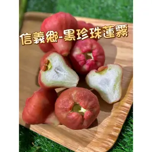 【柒的鮮果】南投信義蓮霧盒裝1800g 黑珍珠蓮霧 黑金剛蓮霧 紅寶石蓮霧 台灣產地鮮送黑珍珠蓮霧