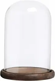 Clear Glass Cloche Bell Jar Display Case with Rustic Wood Base, 10 X 7 Inches