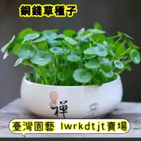 在飛比找蝦皮購物優惠-台園［開發票］收據 免運【銅錢草種子】 四季易種植  水培植