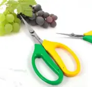 Elbow stainless steel grape specialized pruning scissors household vegetable