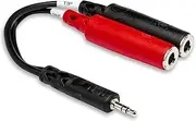 Hosa Stereo Breakout Cable with 3.5 mm TRS to Dual 1/4 Inch TSF Connector