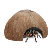 Nevenka Natural Coconut Reptile Hideouts Lizard Spider Fish Hide Cave-Unpolished