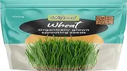 Untamed Health Wheat Organic Sprouting Seeds 100 g