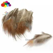 New 10-100pcs Natural Pheasant Feather 2-3inch/4-7cm carnival costume headress