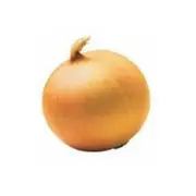 Organic Brown Onions Half Box – Fresh, healthy organic delivery | Doorstep Organics.