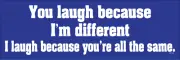 You laugh because I'm different, I laugh because Vinyl Bumper Sticker Decal M159