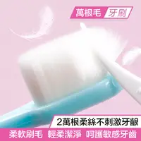 在飛比找松果購物優惠-現貨 日本熱銷超柔級萬毛牙刷 孕產婦 牙齦流血 牙齦敏感皆適