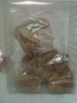 Burberry Bear With Hat 2006 New In Collectible Plastic Case Hard To Find Lot L