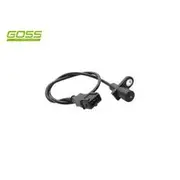 RAE Crankshaft Position Sensor - SC099