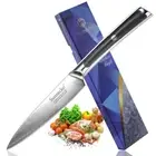 Utility Knife Japanese Damascus Steel VG10 Core G10 Handle Chef Slicing Paring M