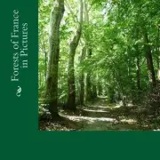 Forests of France in Pictures: A text-free picture book for Alzheimer's, Seniors