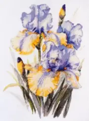 Cross stitch kit - Irises 21x30cm White Aida 14ct needlepoint kit