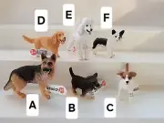 SCHLEICH Dogs *NEW* Collectible Animal Figures Frenchie Cocker Spaniel Shepherd