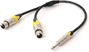 ROBAUN 1PC 6.35MM to Dual XLR Y-Splitter Cable 1/4 Inch TS Jack to 2 XLR Male/Female OFC Shielded Cable for Guitar Amplifier(Z01-D1001FX2-SLYE,0.29m)