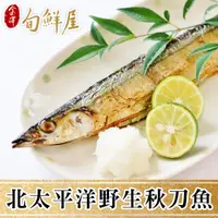 在飛比找PChome24h購物優惠-【金澤旬鮮屋】北太平洋野生秋刀魚10尾(100g/尾)