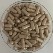 ORGANIC Terminalia Arjuna Capsules Pure and High Quality